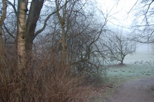 Morgennebel im Auental