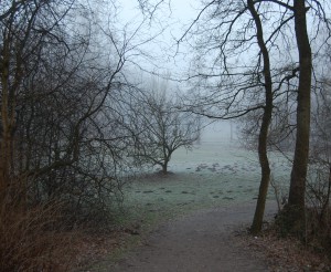 Es wird Herbst Der Zugang zum Grundstück im Nebel ( Zugang über den Wanderweg von Süden)